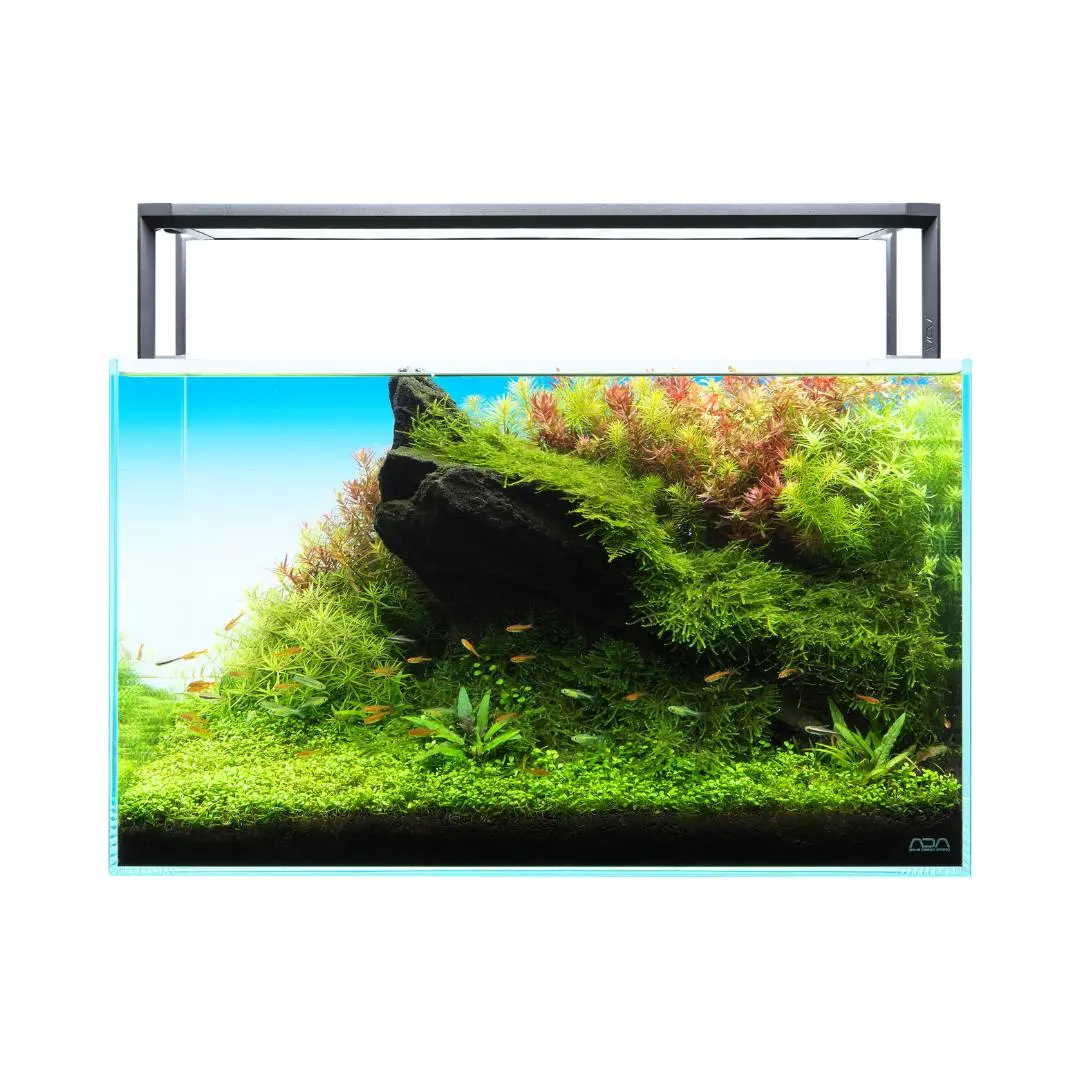 ADA Aquasky RGB II 60 Aquarium Light | Aqua Club
