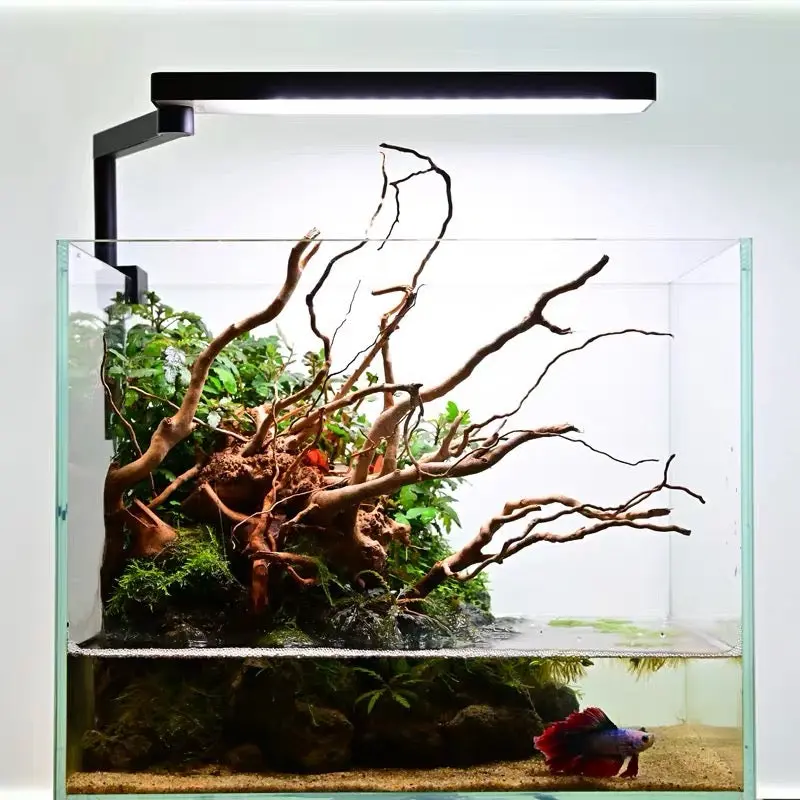 CHIHIROS CII White (Built-in Bluetooth) Aquarium Light | Aqua Club