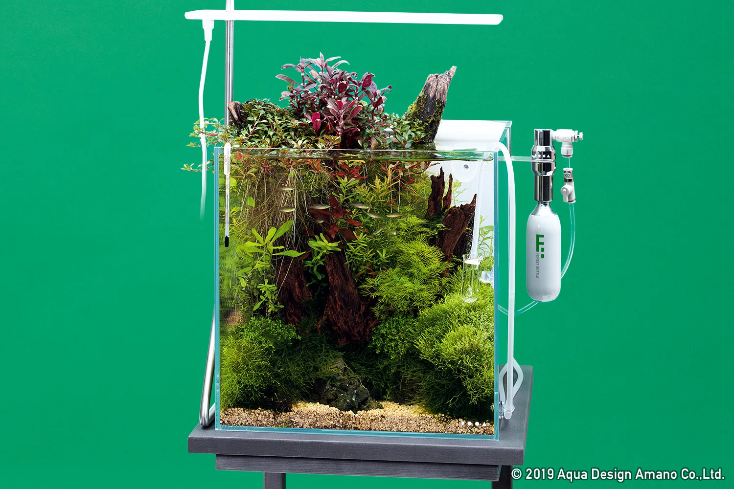 DOOA System AQUA 30 | Aqua Club