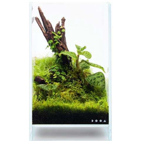 DOOA Neo Glass AIR W15×D15×H30 (cm) | Aqua Club